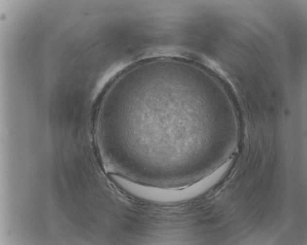 X0000074341312200609082047