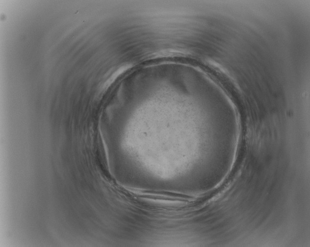 X0000074341313200609082047