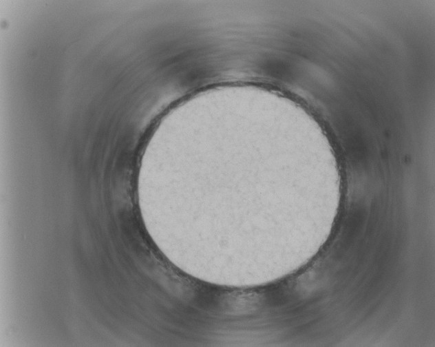 X0000074341314200609082047