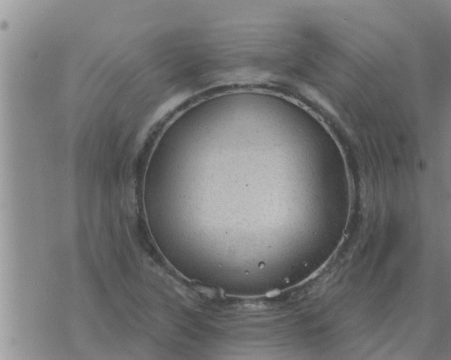 X0000074341315200609082047