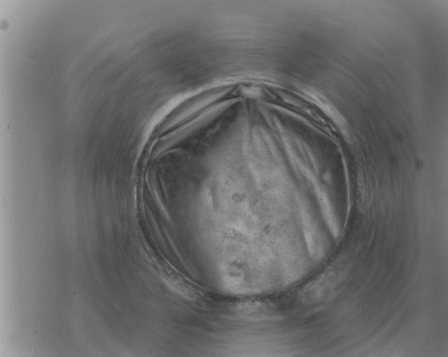 X0000074341316200609082047