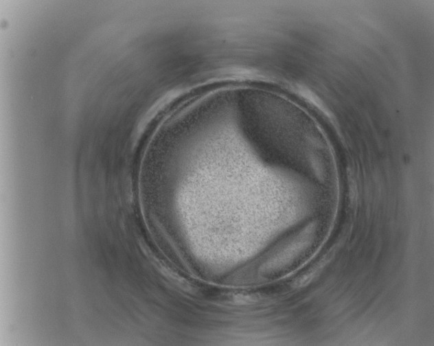 X0000074341318200609082047