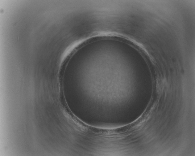 X0000074341319200609082047