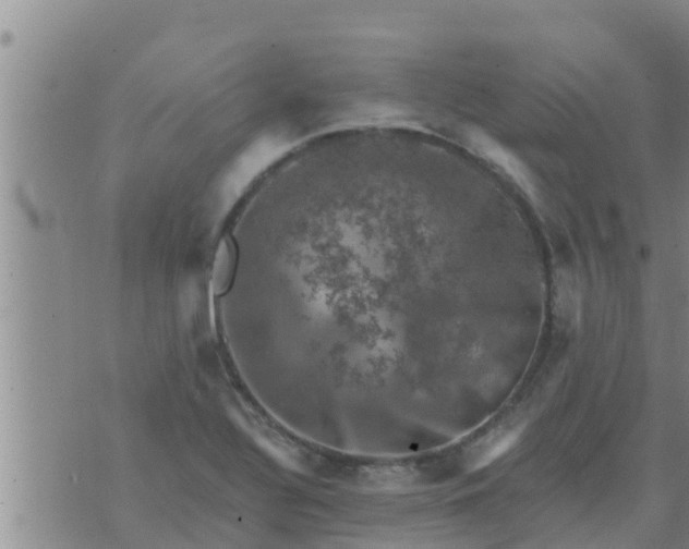 X0000074341320200609082047