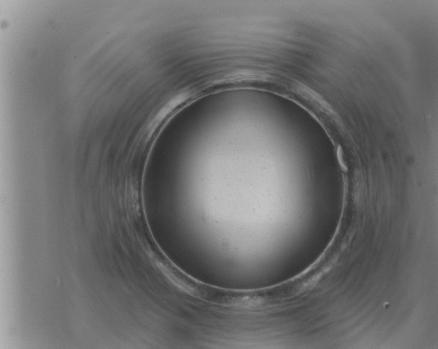 X0000074341321200609082047