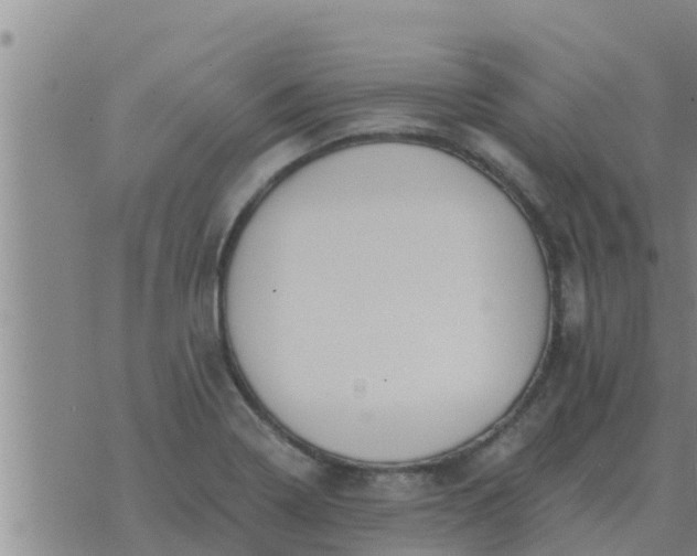 X0000074341322200609082047