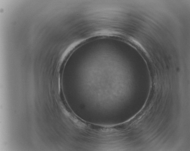 X0000074341323200609082047