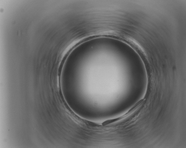 X0000074341324200609082047