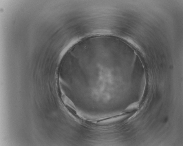 X0000074341325200609082047