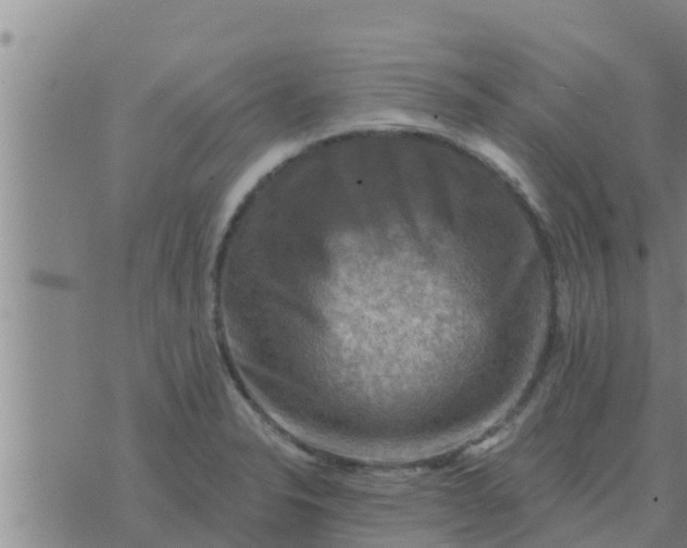 X0000074341326200609082047