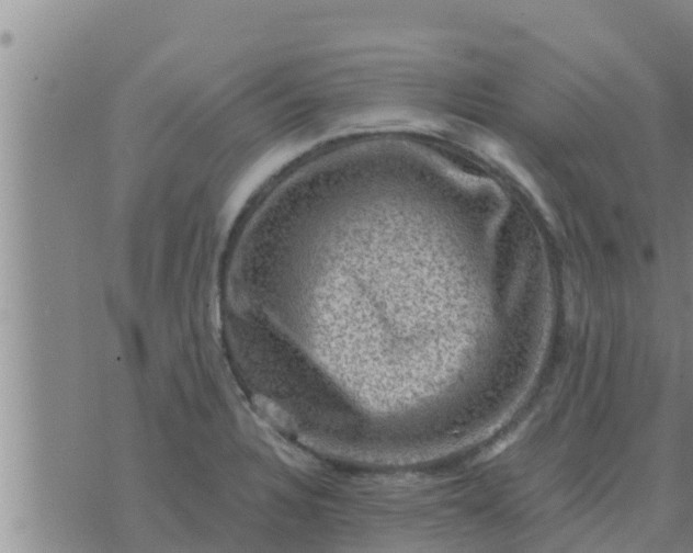 X0000074341328200609082047