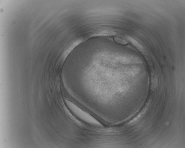 X0000074341329200609082047