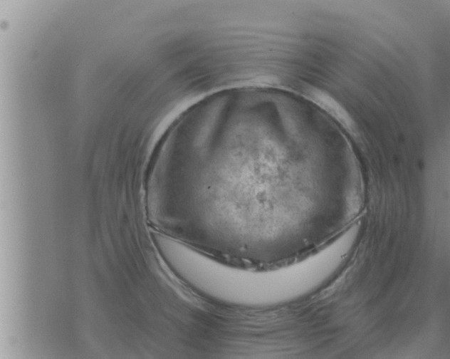 X0000074341332200609082047