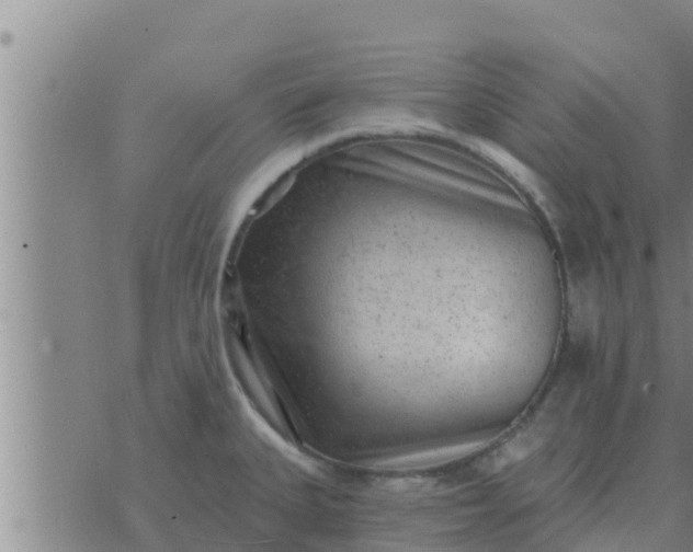 X0000074341335200609082047