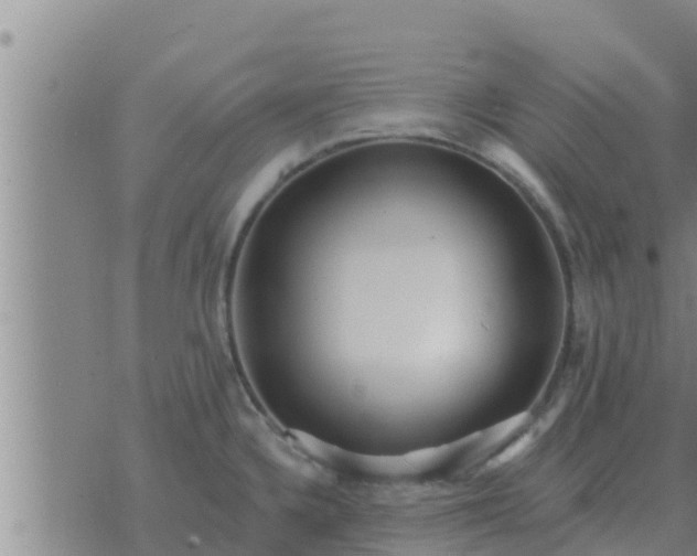 X0000074341336200609082047