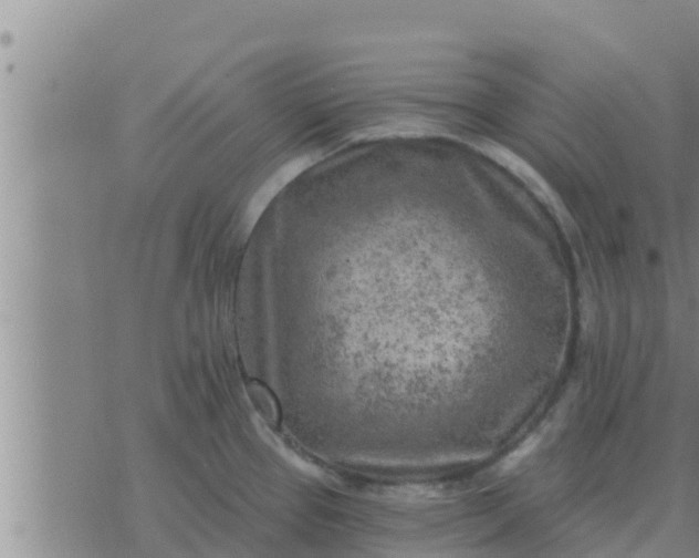 X0000074341337200609082047