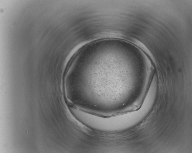 X0000074341339200609082047