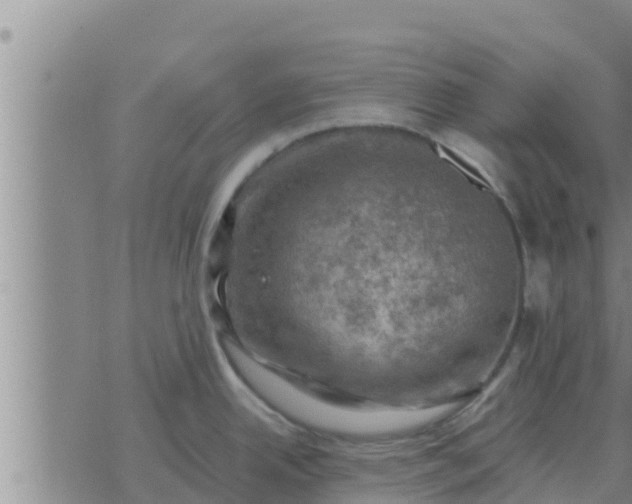 X0000074341342200609082048