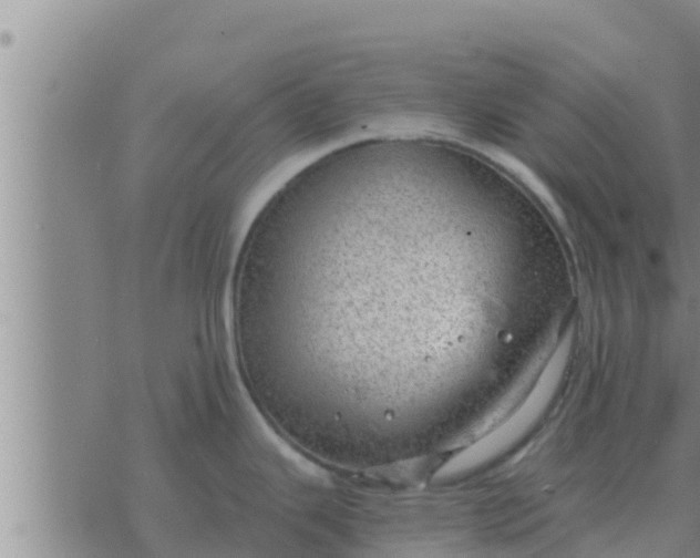 X0000074341343200609082048