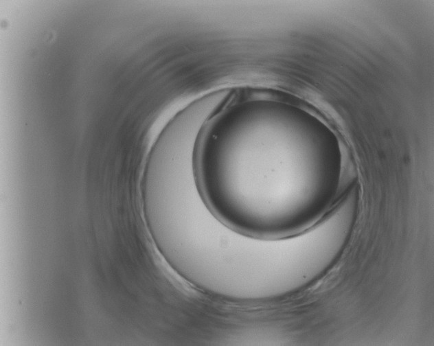 X0000074341344200609082048