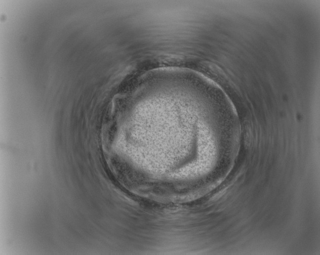 X0000074341345200609082047