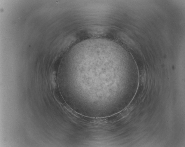 X0000074341346200609082047