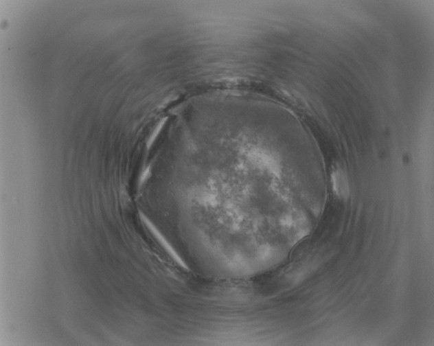 X0000074341347200609082047