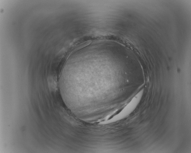 X0000074341348200609082047