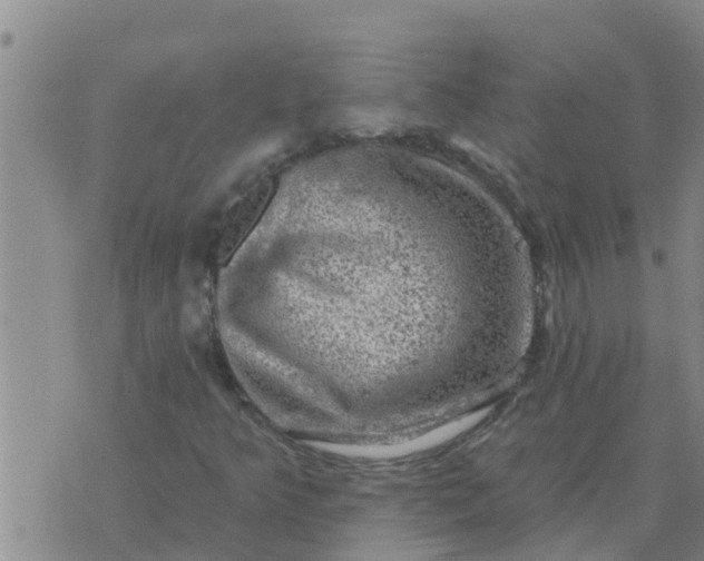 X0000074341349200609082047