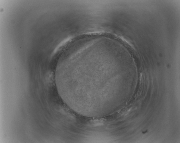 X0000074341351200609082047