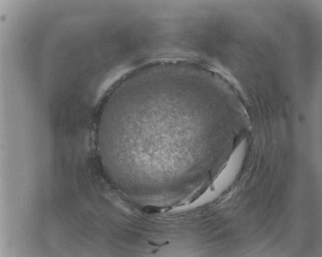 X0000074341352200609082047