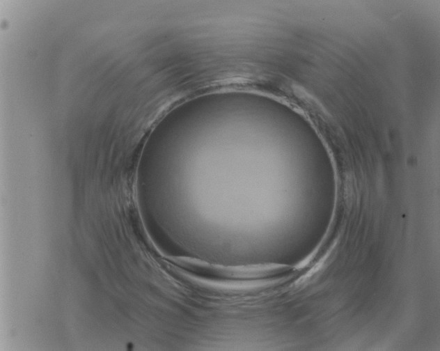 X0000074341353200609082047