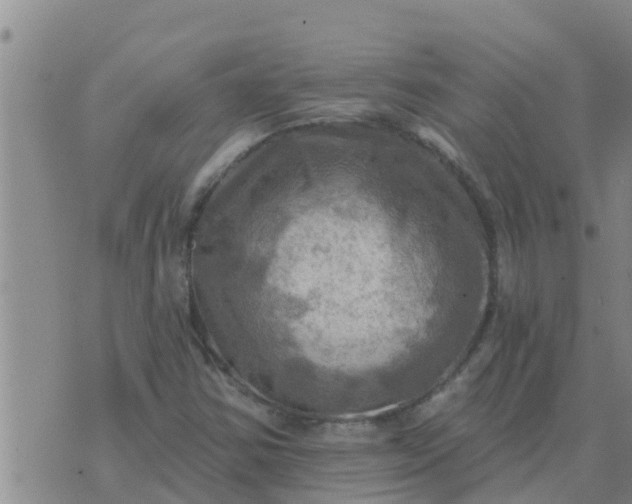 X0000074341354200609082047