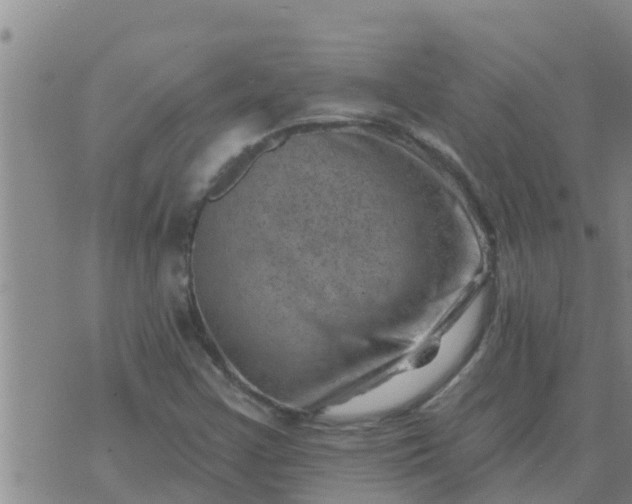 X0000074341355200609082047