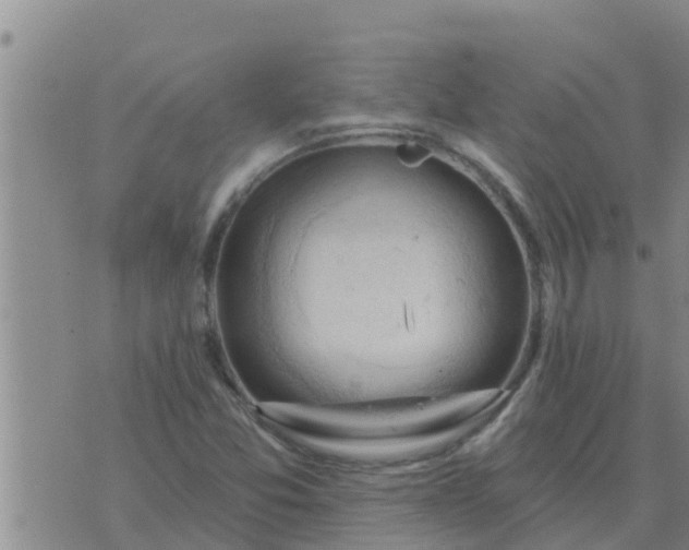 X0000074341357200609082047