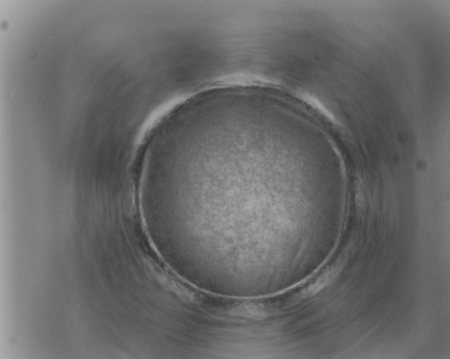 X0000074341358200609082047