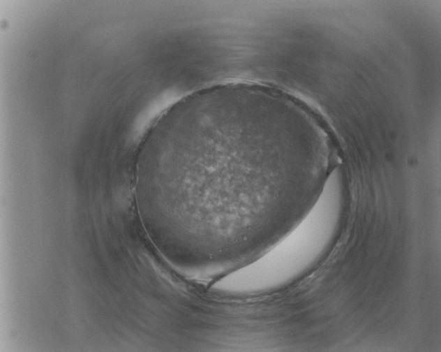 X0000074341359200609082047