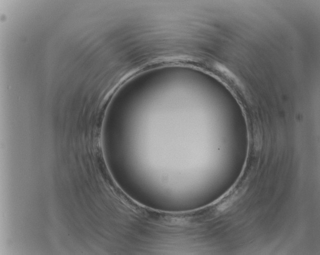 X0000074341361200609082047