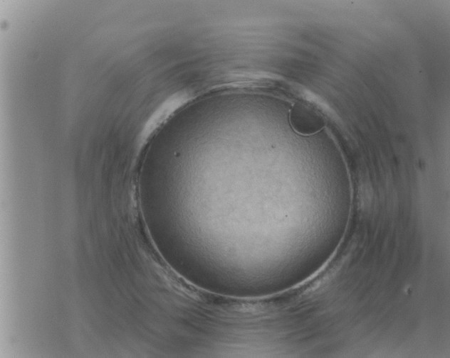 X0000074341362200609082046