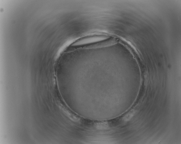 X0000074341363200609082046