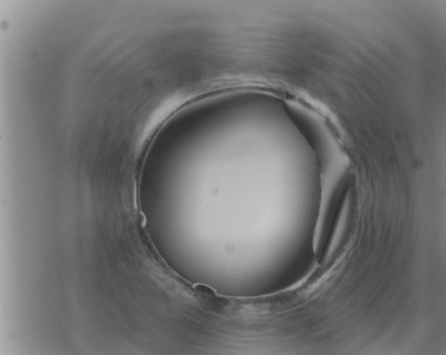 X0000074341365200609082046