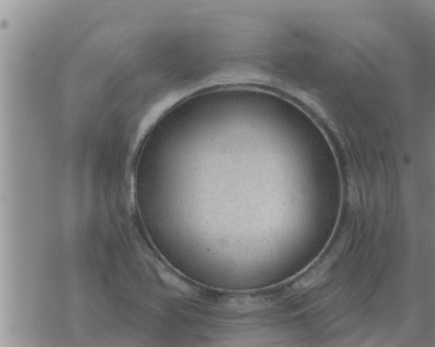 X0000074341366200609082046