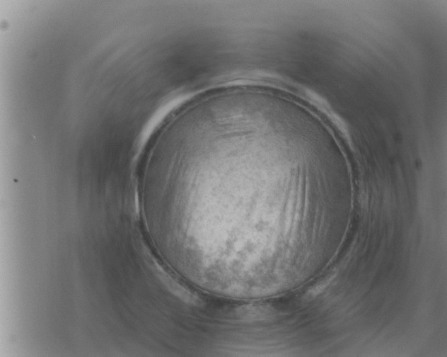 X0000074341368200609082046