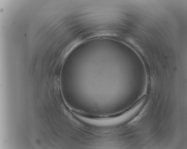 X0000074341369200609082046