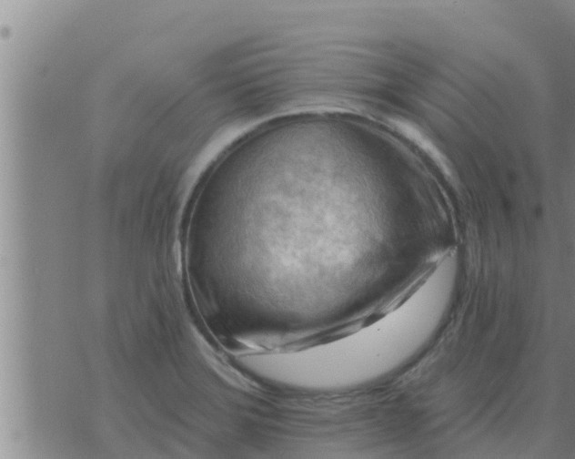 X0000074341372200609082046