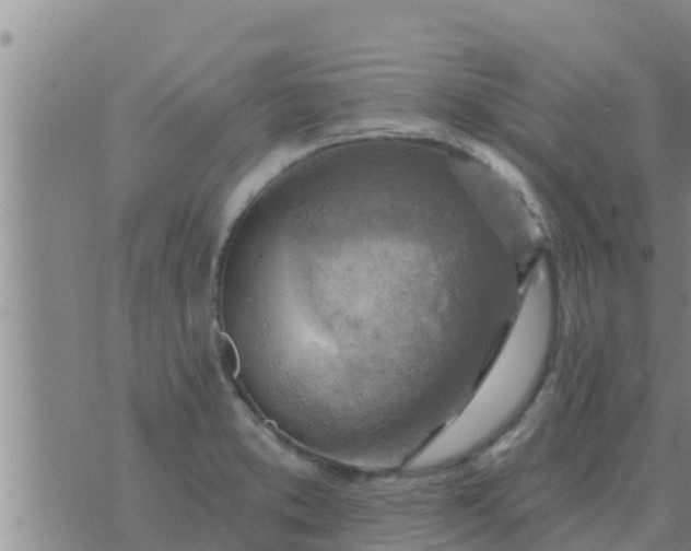 X0000074341373200609082046