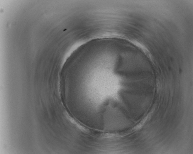 X0000074341374200609082046