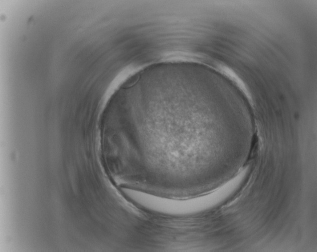 X0000074341376200609082046