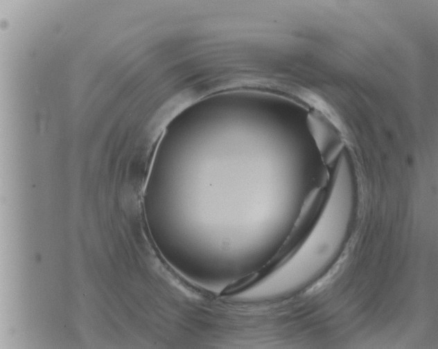 X0000074341377200609082046