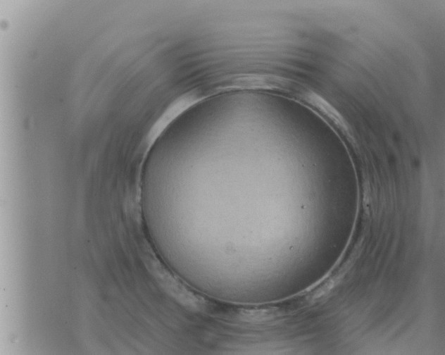 X0000074341378200609082046